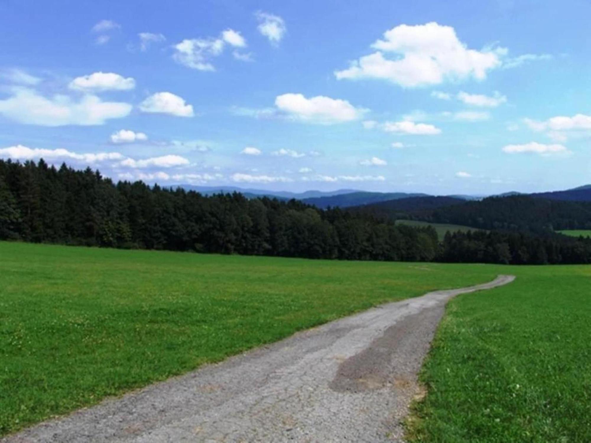 Ferienwohnung Im Bayerischen Wald Mit Terrasse Viechtach Exterior foto